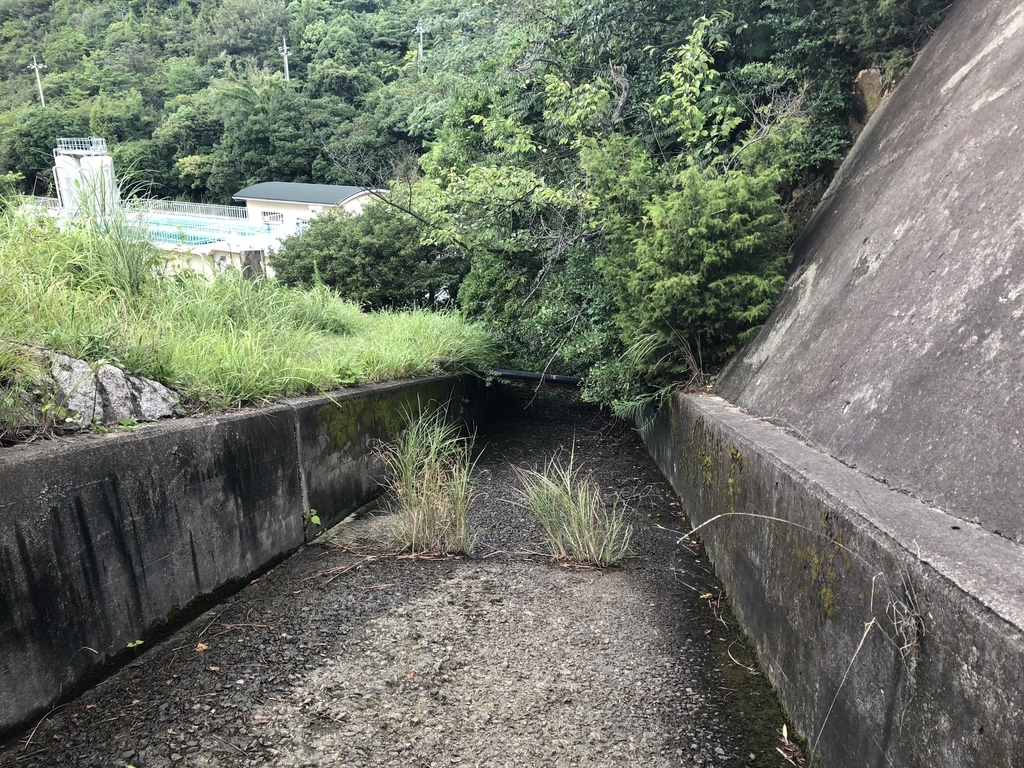 f:id:simameguri:20180920114529j:plain f:id:simameguri:20180920114529j:plain