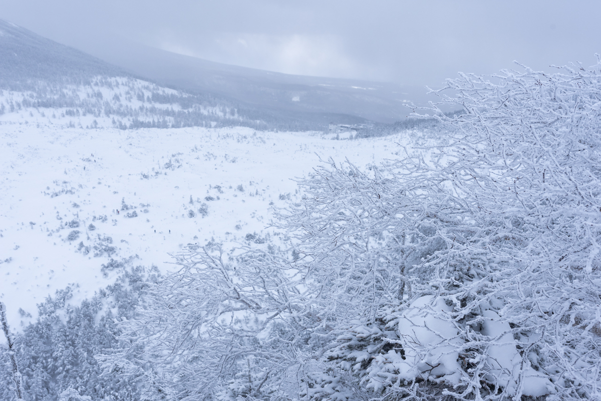 f:id:simando:20220211204259j:plain