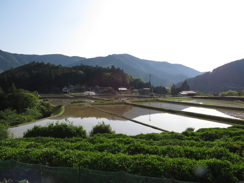 f:id:simantonoyamasemi:20181023182457j:plain f:id:simantonoyamasemi:20181023182457j:plain
