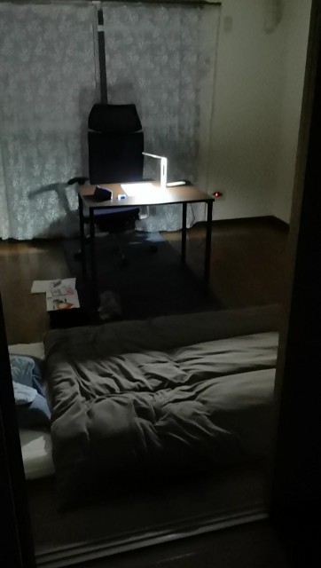 f:id:simaruko:20190606144538j:image