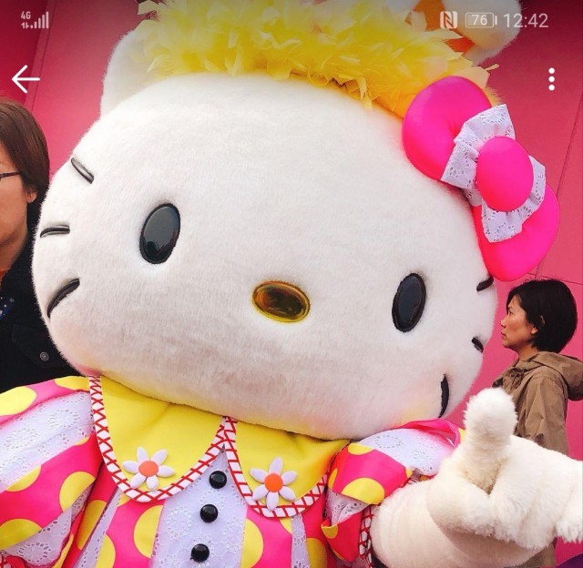 f:id:simaruko:20190613123512j:image