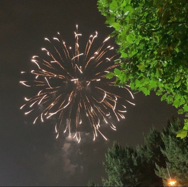 f:id:simaruko:20190613123710j:image
