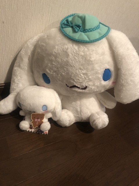 f:id:simaruko:20190614204214j:image