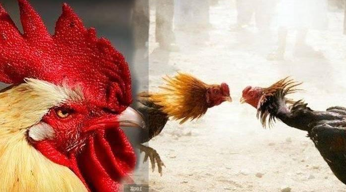 f:id:simatapanda:20200930153712p:plain f:id:simatapanda:20200930153712p:plain