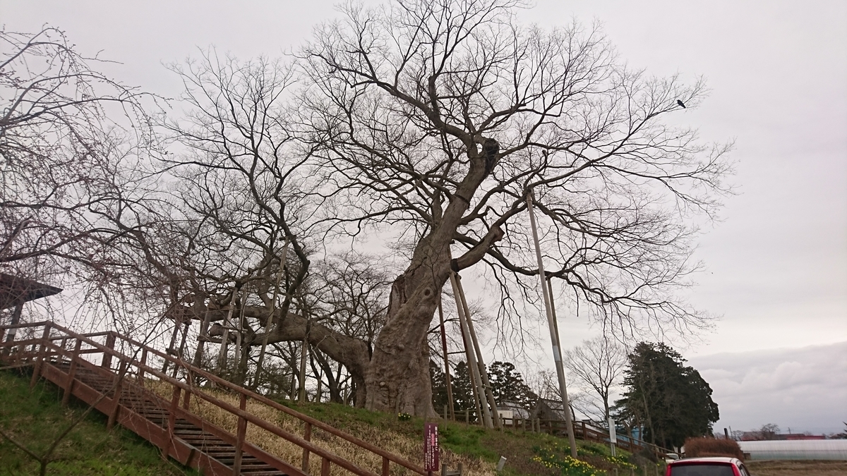 f:id:simauma10:20200403220225j:plain