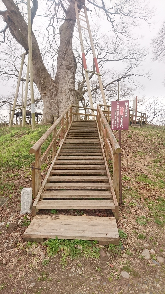 f:id:simauma10:20200403220433j:plain