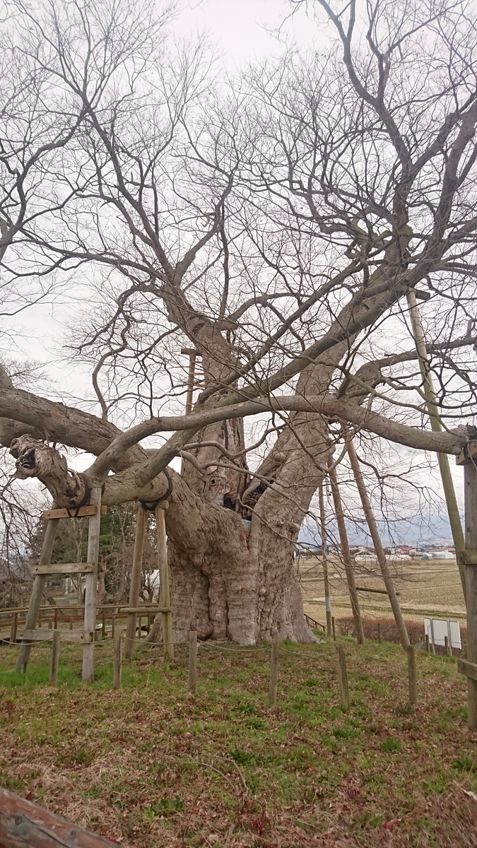 f:id:simauma10:20200403220734j:plain