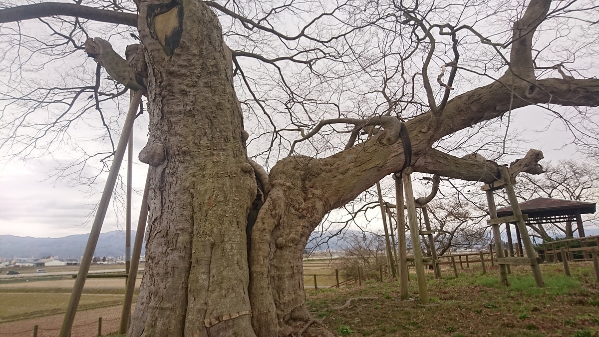 f:id:simauma10:20200403220815j:plain