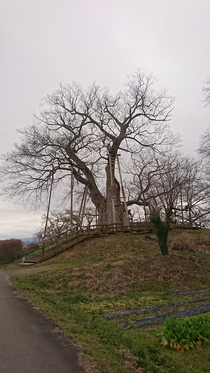 f:id:simauma10:20200403221055j:plain