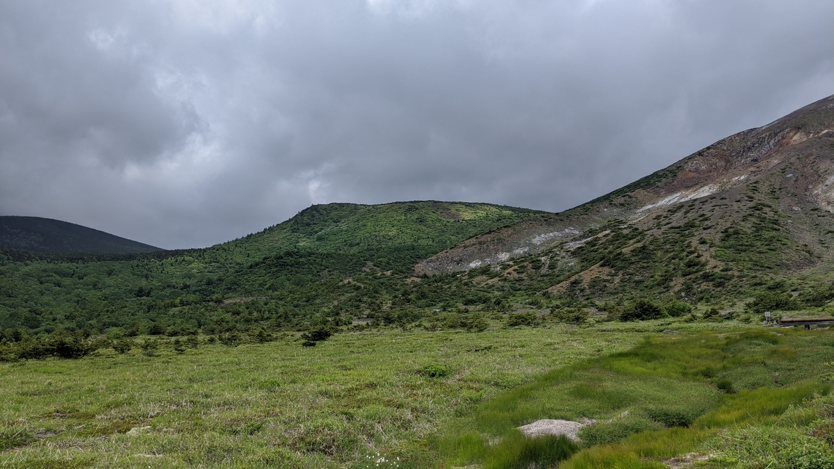 f:id:simauma10:20200628213000j:plain