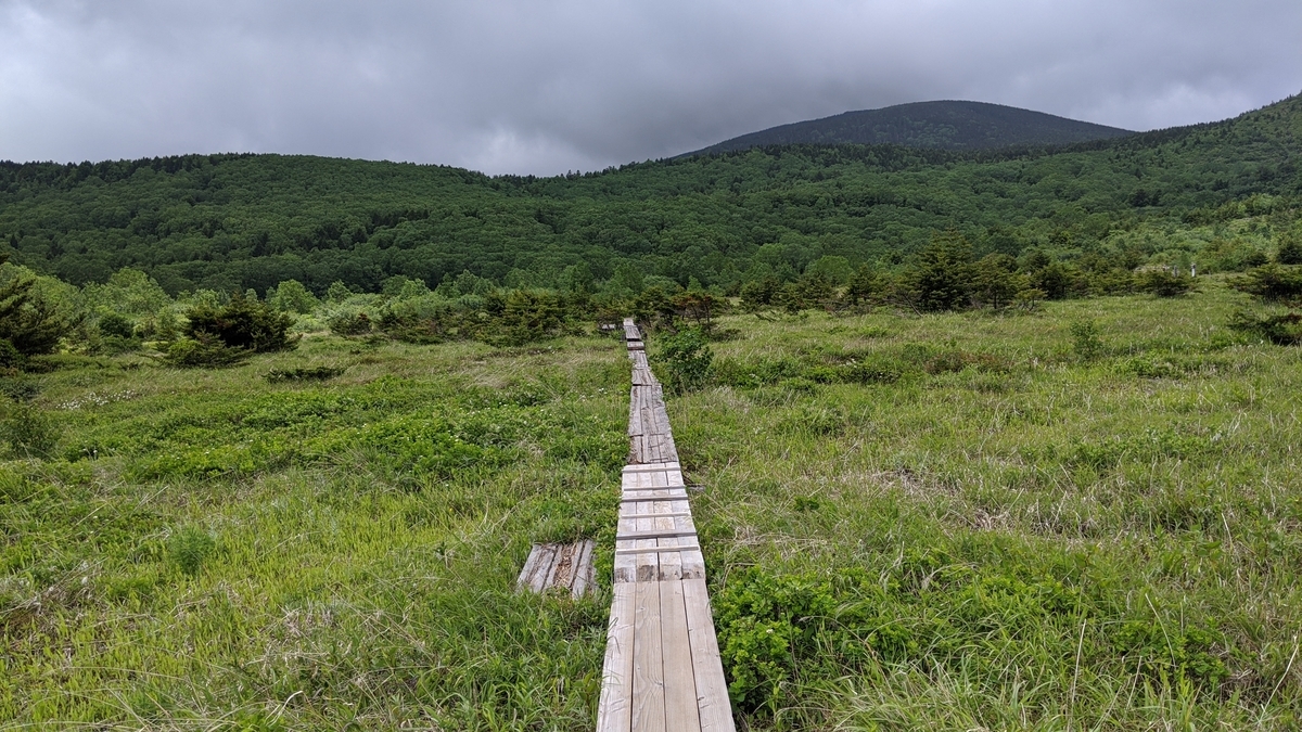 f:id:simauma10:20200628213212j:plain