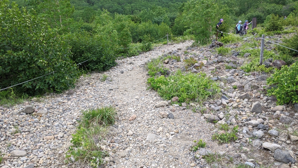 f:id:simauma10:20200628213522j:plain