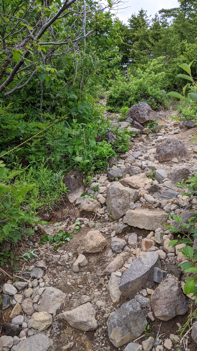 f:id:simauma10:20200628214907j:plain