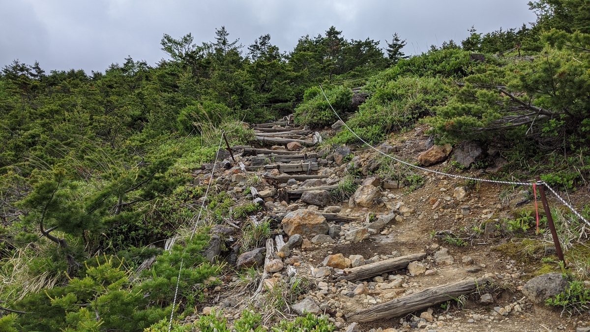 f:id:simauma10:20200628215138j:plain