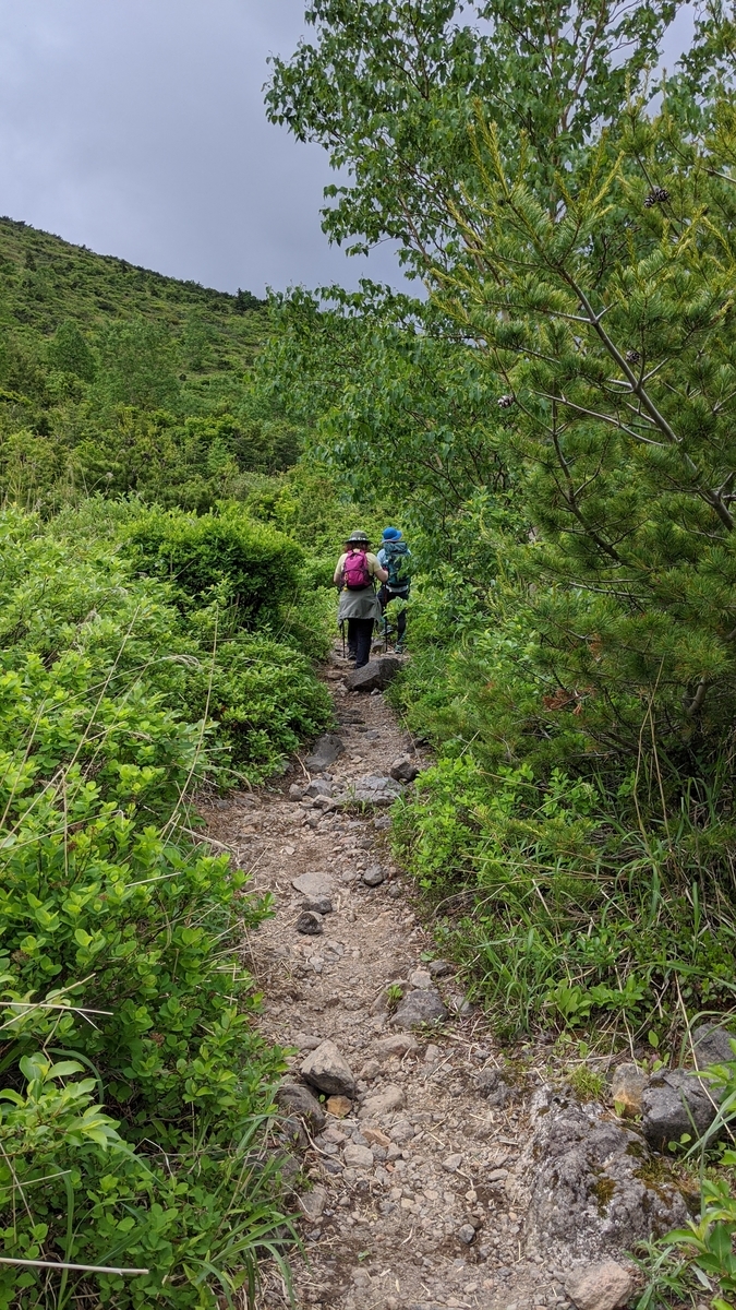 f:id:simauma10:20200628215508j:plain