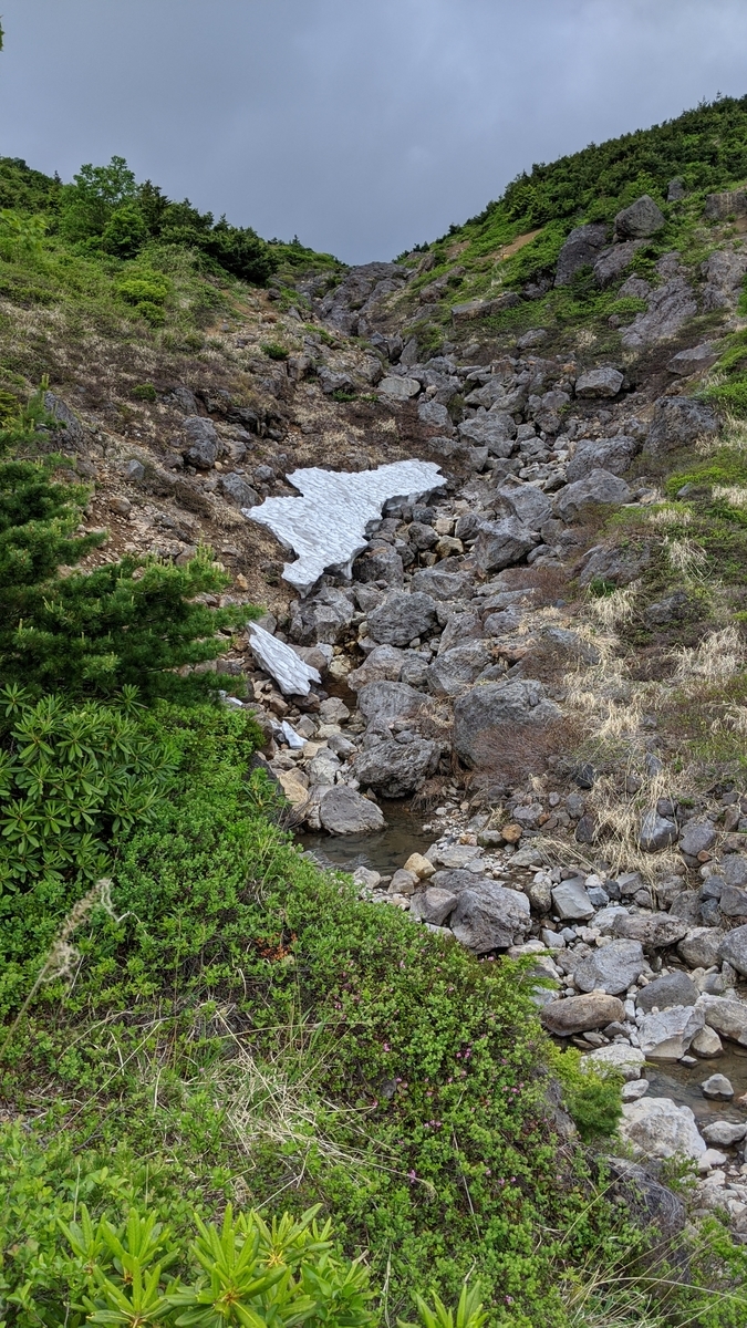 f:id:simauma10:20200628215714j:plain