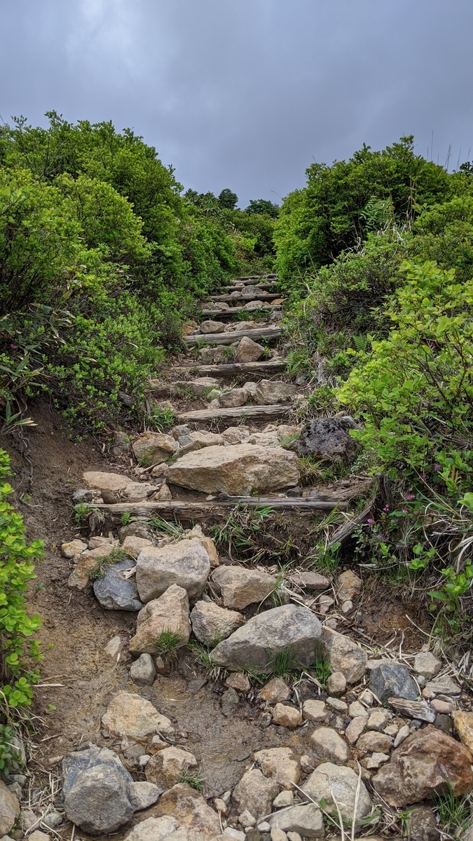 f:id:simauma10:20200628220912j:plain