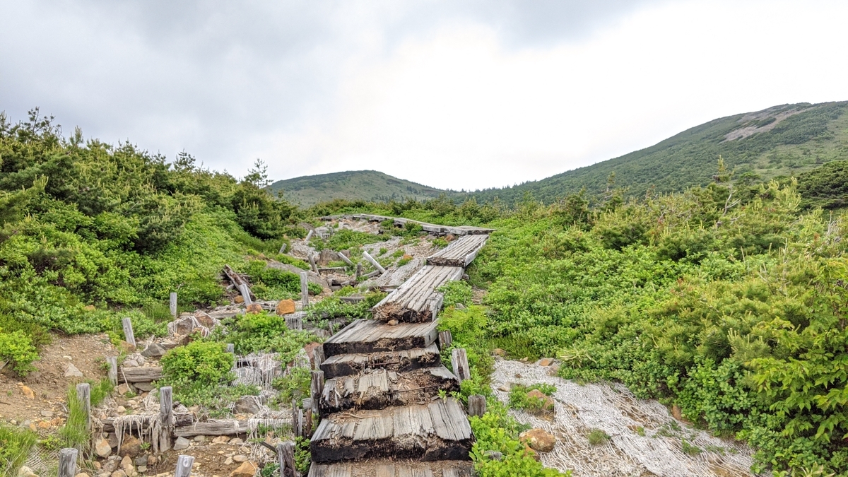 f:id:simauma10:20200628221041j:plain