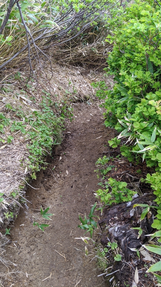 f:id:simauma10:20200628222034j:plain