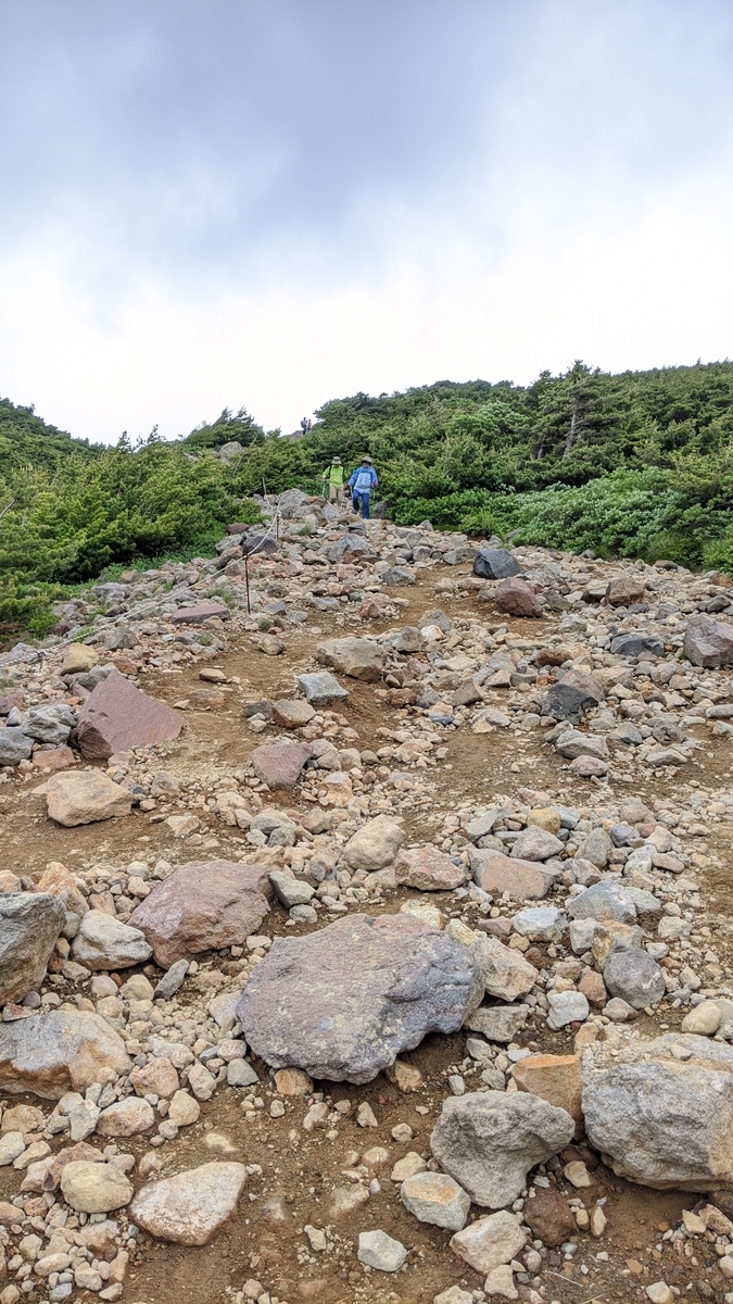 f:id:simauma10:20200628222245j:plain