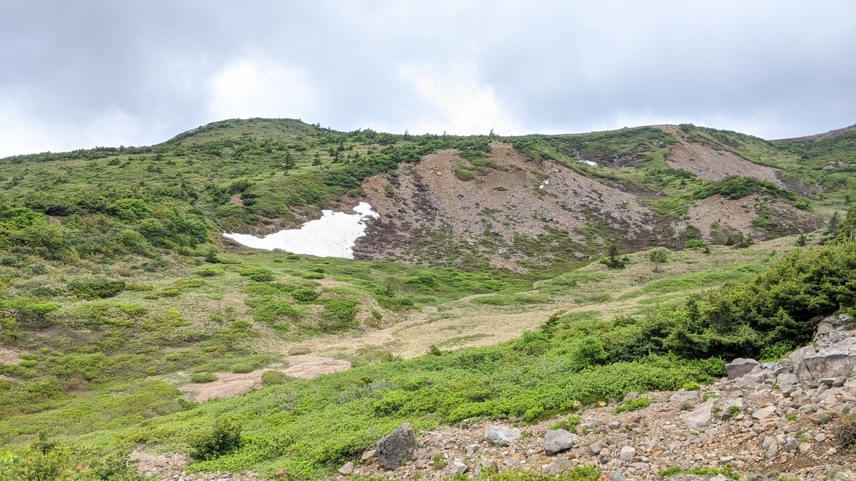 f:id:simauma10:20200628222905j:plain