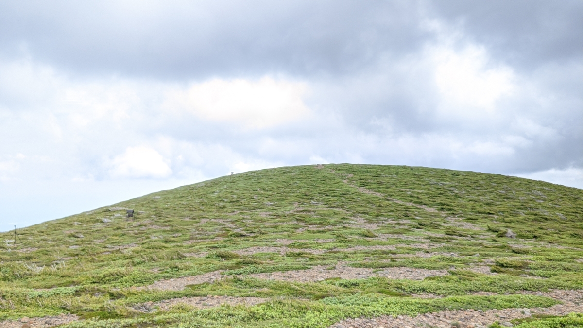 f:id:simauma10:20200628223312j:plain