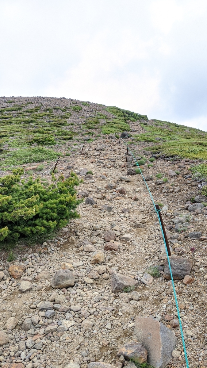 f:id:simauma10:20200628223509j:plain