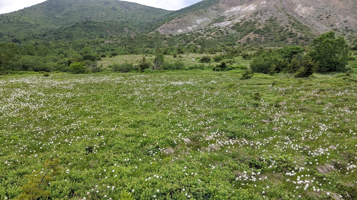 f:id:simauma10:20200628230716j:plain