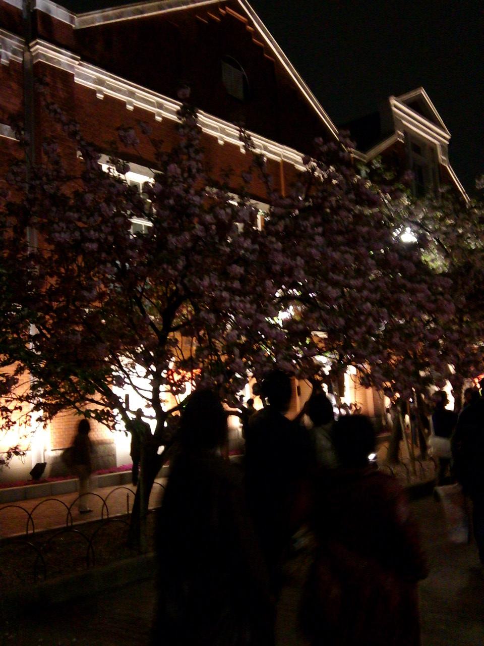 f:id:simayan:20100505022101j:image