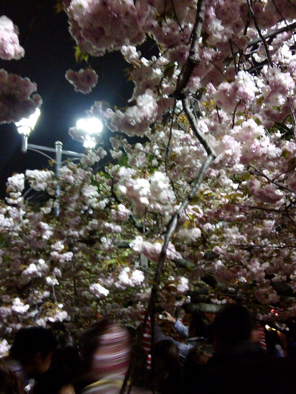 f:id:simayan:20100505022104j:image