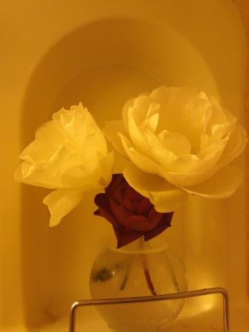 f:id:simayan:20110222184325j:image f:id:simayan:20110222184325j:image