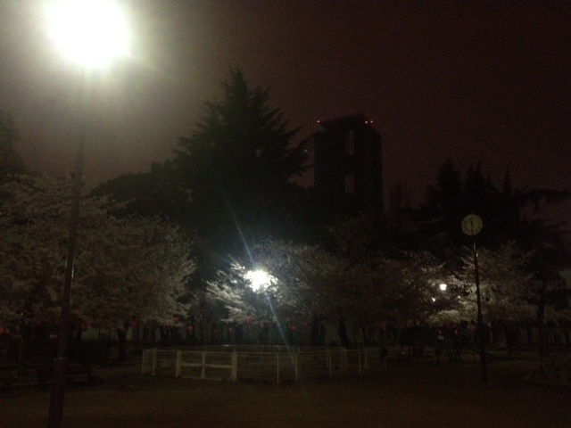 f:id:simayan:20120411053017j:image