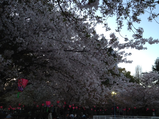 f:id:simayan:20120415120414j:image