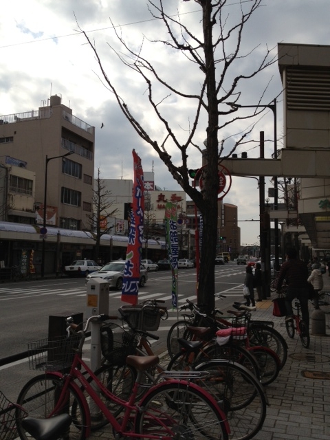 f:id:simayan:20130213192417j:image