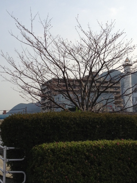 f:id:simayan:20130324010833j:image