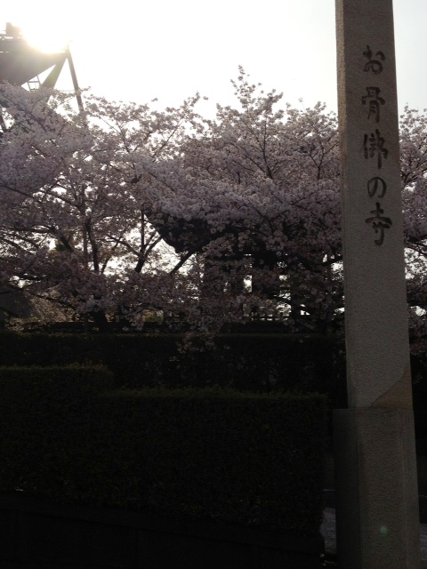 f:id:simayan:20130406000909j:image