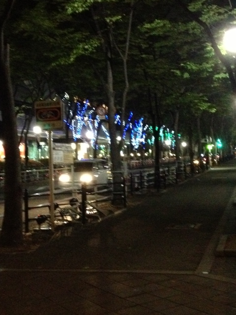 f:id:simayan:20130603065054j:image