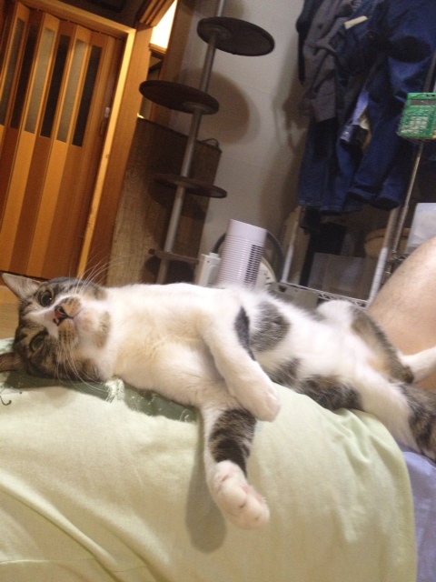 20130608143151