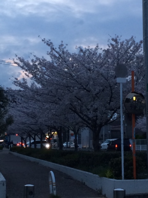 f:id:simayan:20140404145901j:image