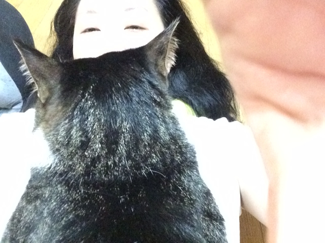 f:id:simayan:20140611222706j:image