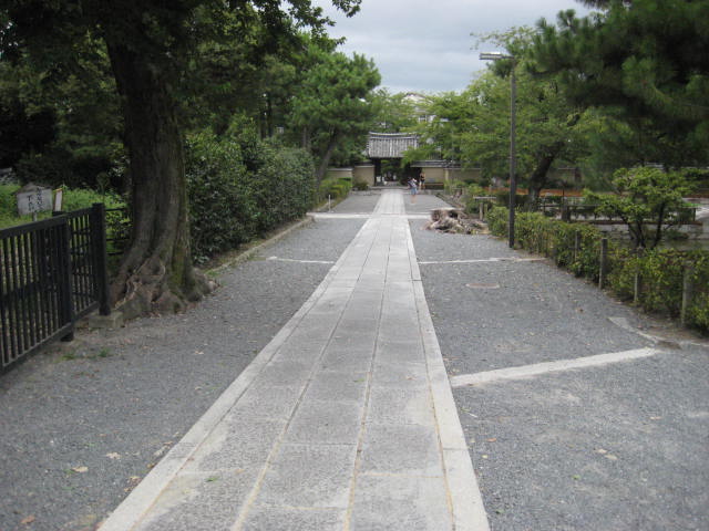 イメージ 46