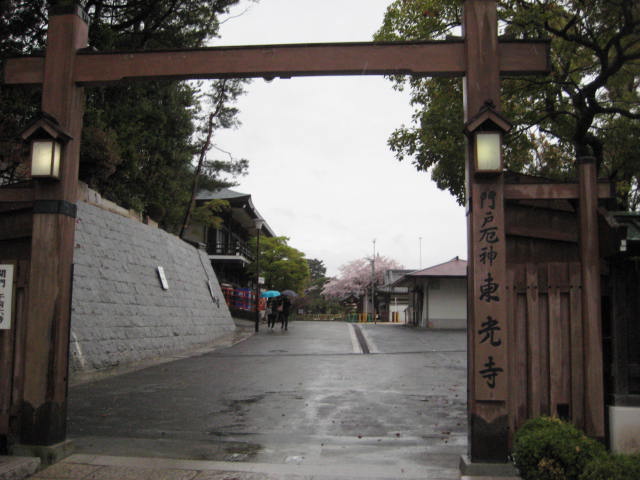 イメージ 5