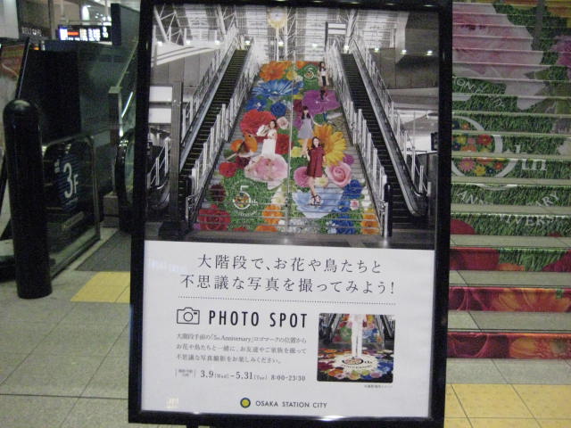 イメージ 7