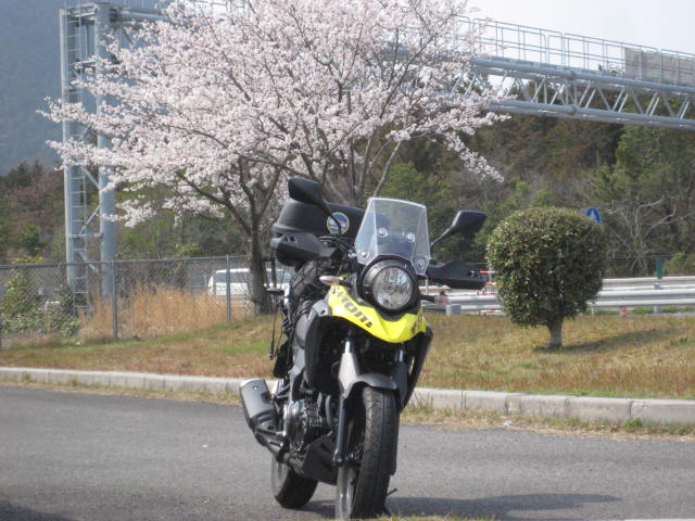イメージ 14
