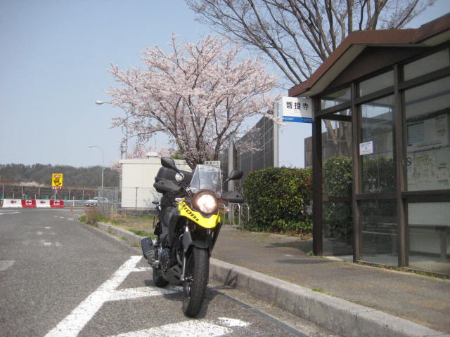 イメージ 15