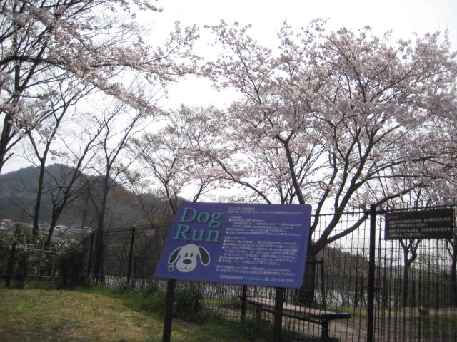 イメージ 16
