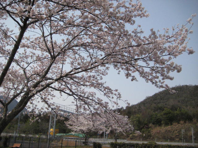 イメージ 17