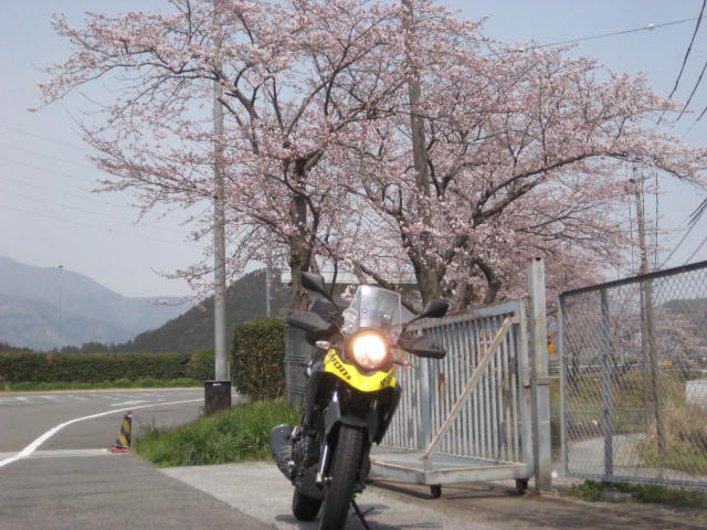 イメージ 20