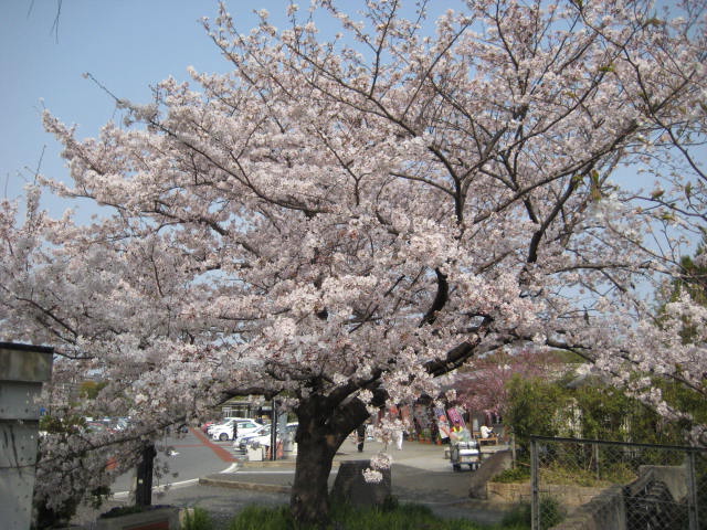 イメージ 2