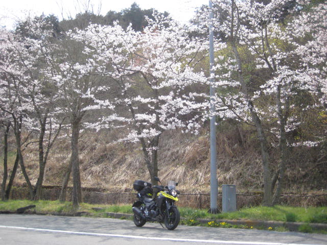イメージ 21